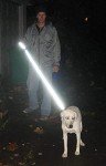 Silver Reflective 6-Foot Recycled Dog Leash