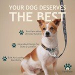 Eco-Friendly Adjustable Dog Collar and Leash Set