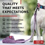 Eco-Friendly Recycled Cotton Dog Leash - Reflective