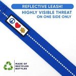 Eco-Friendly 6 FT Reflective Dog Leash - Blue