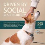 Eco-Friendly Adjustable Dog Collar and Leash Set