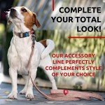 Eco-Friendly Recycled Cotton Dog Leash - Reflective