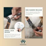 Eco-Friendly Adjustable Dog Collar and Leash Set