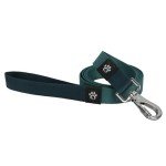 Eco-Friendly Dog Leash with Soft Swivel Hook