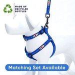 Eco-Friendly 6 FT Reflective Dog Leash - Blue