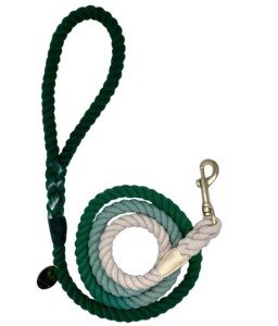 Green Ombre Cotton Rope Dog Leash - 5FT