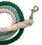 Green Ombre Cotton Rope Dog Leash - 5FT