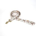 Organic Cotton Dog Leash with Brass Hardware - 6FT