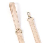 Organic Cotton Dog Leash with Brass Hardware 6FT