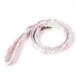 Organic Cotton Dog Leash with Brass Hardware - 6FT