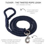 Organic Cotton Dog Leash with Twisted Rope, Navy