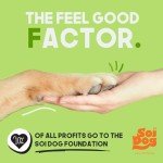 Eco-Friendly Dog Poop Bags - 240 Count