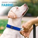 Pawsitive Hemp Collar for Sensitive Skin Dogs