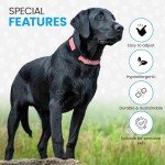 Pawsitive Hemp Collar for Sensitive Skin Dogs