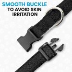 Pawsitive Hemp Collar for Sensitive Skin Dogs