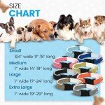 Pawsitive Hemp Collar for Sensitive Skin Dogs