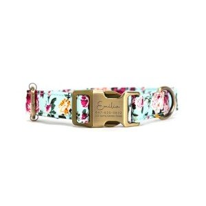 Custom Engraved Dog Collar with Adjustable Fit