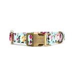 Custom Engraved Dog Collar with Adjustable Fit