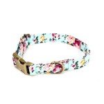 Custom Engraved Dog Collar with Adjustable Fit