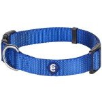 Royal Blue Dog Collar for Small Dogs - Durable & Stylish