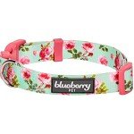 Turquoise Floral Dog Collar for Small Breeds