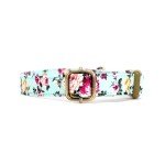 Custom Engraved Dog Collar with Adjustable Fit