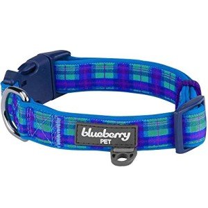 Soft Blue Plaid Designer Dog Collar for Medium Dogs