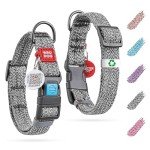 Reflective Eco-Friendly Dog Collar with QR ID Tag