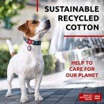 Reflective Eco-Friendly Dog Collar with QR ID Tag