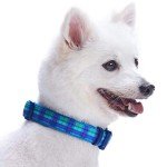 Soft Blue Plaid Designer Dog Collar for Medium Dogs