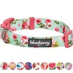 Turquoise Floral Dog Collar for Small Breeds