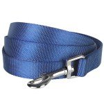 Durable 5ft Dog Leash – True Navy Nylon