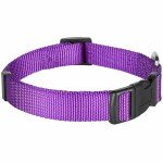 Blueberry Pet Dark Orchid Dog Collar & Leash Set