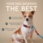 Eco-Friendly Dog Leash with Durable Metal Hook