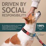 Eco-Friendly Dog Leash with Durable Metal Hook