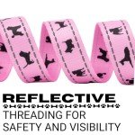 EcoBark Reflective Dog Leash - Soft & Durable