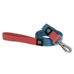 Eco-Friendly Dog Leash with Durable Metal Hook
