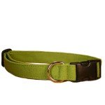 Large Green Hemp Canvas Dog Collar by Good Dog Company