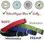 Large Green Hemp Canvas Dog Collar by Good Dog Company