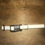 Basic Hemp Dog Collar in Multiple Colors