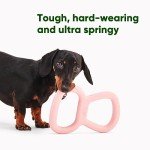 Beco Tough Tugger Dog Toy - Green Interactive Fun