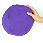 Beco Pets Eco-Friendly Flying Disc Toy