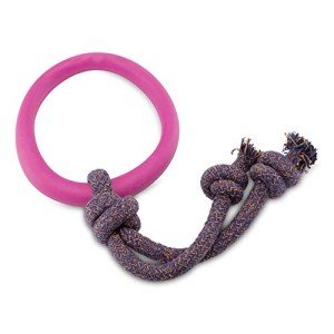 Beco Large Pink Rubber Hoop Dog Toy