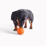 Beco Natural Rubber Bouncy Fetch Ball for Dogs