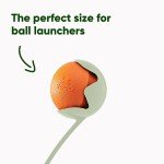 Beco Natural Rubber Bouncy Fetch Ball for Dogs