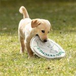 Eco-Friendly Hemp Canvas Dog Frisbee Toy