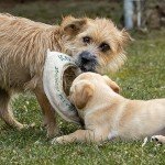 Eco-Friendly Hemp Dog Frisbee & Tug Toy