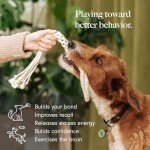 Natural Cotton Rope Toys for Dogs - 2-Pack