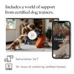 Natural Cotton Rope Toys for Dogs - 2-Pack