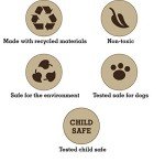 Eco-Friendly Squeaky Dog Chew Toy Variety Pack